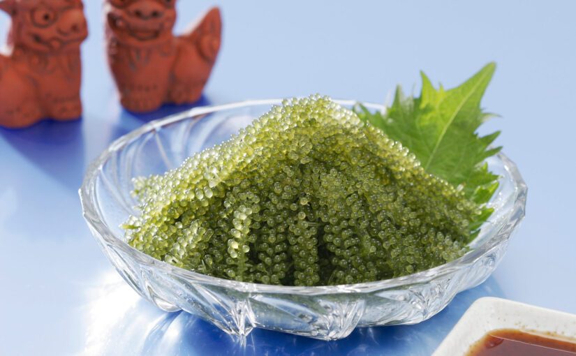 沖縄に行ったら絶対に食べておきたい！定番から珍しい魚介類10選